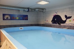 Китенок                             Россия ,                                                                            Красноярск
                            ,