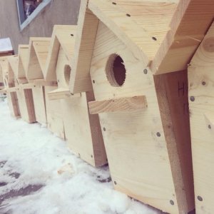 Сами с Усами                             Россия ,                                                                            Нижний Новгород
                            ,