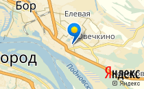 Начальная общеобразовательная школа №17                             Россия ,                                                                            Бор
                            ,