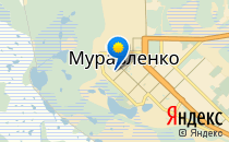 Дельфин                             Россия ,                                                                            Муравленко
                            ,