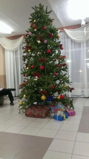 Лицей №4                             Россия ,                                                                            Оренбург
                            ,