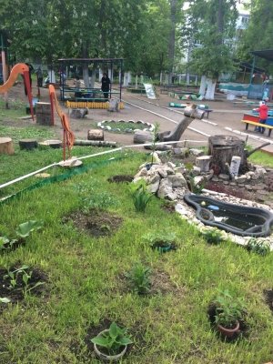 Детский сад №339. «Звёздочка»                             Россия ,                                                                            Самара
                            ,