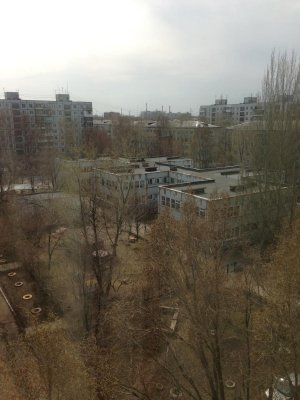 Детский сад №96. «Дружные ребята»                             Россия ,                                                                            Самара
                            ,