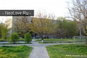Родильный дом №9                             Украина ,                                                                            Запорожье
                            ,