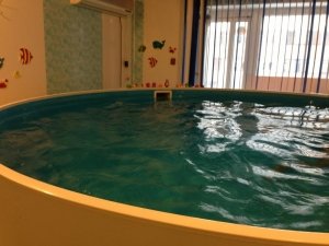 Китёнок                             Россия ,                                                                            Белгород
                            ,