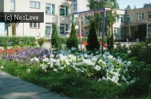 Детский сад №151 общеразвивающего вида                             Россия ,                                                                            Воронеж
                            ,                        