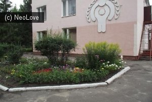 Детский сад №131                             Россия ,                                                                            Воронеж
                            ,                        