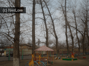 Лицей 9, МБОУ                             Россия ,                                                                            Воронеж
                            ,                        