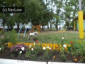 Детский сад №167 комбинированного вида                             Россия ,                                                                            Воронеж
                            ,                        