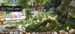 Детский сад №164                             Россия ,                                                                            Воронеж
                            ,                        