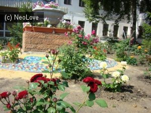 Детский сад №103                             Россия ,                                                                            Воронеж
                            ,                        