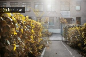 Детский сад №48                             Россия ,                                                                            Воронеж
                            ,                        