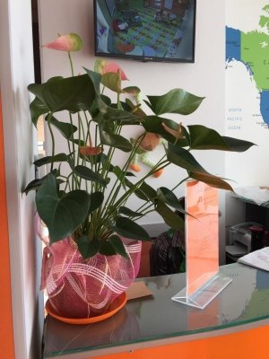 Чудо Клуб                             Украина ,                                                                            Киев
                            ,                        