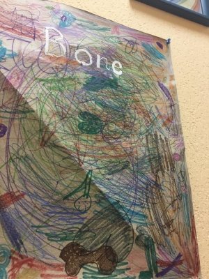 Montessori. First steps                             Украина ,                                                                            Киев
                            ,                        