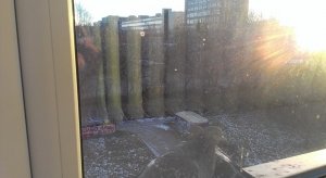 Роддом  МУ ЦГБ №10                             Россия ,                                                                            Екатеринбург
                            ,                        