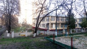 Півник                             Украина ,                                                                            Киев
                            ,                        