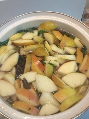 Барвінок                             Украина ,                                                                            Киев
                            ,                        