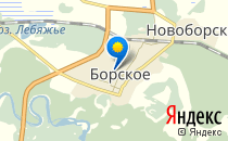 Борский роддом                             Россия ,                                                                            Борское
                            ,                        