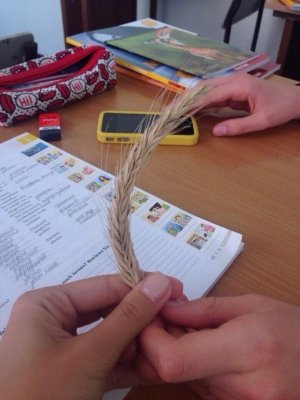 Наукова зміна                             Украина ,                                                                            Киев
                            ,                        