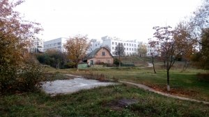 Спеціалізована школа №304 з поглибленим вивченням інформаційних технологій                             Украина ,                                                                            Киев
                            ,                        