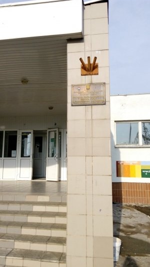 Середня загальноосвітня школа №256                             Украина ,                                                                            Киев
                            ,                        