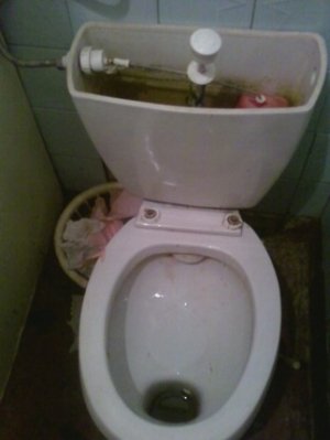 Родильный Дом                             Россия ,                                                                            Шахты
                            ,                        