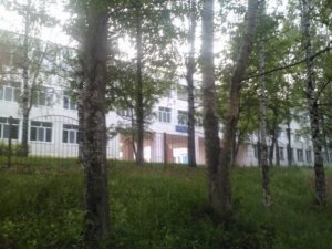 Гимназия им. Александра Грина                             Россия ,                                                                            Киров (Кировская обл.)
                            ,                        