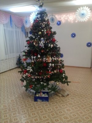 Детский сад №146                             Россия ,                                                                            Киров (Кировская обл.)
                            ,                        