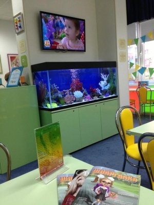 Шамарики                             Россия ,                                                                            Краснодар
                            ,                        