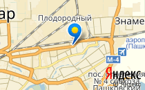 Тигрёнок                             Россия ,                                                                            Краснодар
                            ,                        