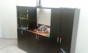 Crazy Work                             Россия ,                                                                            Краснодар
                            ,                        