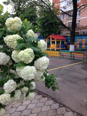 Детский сад №123 комбинированного вида                             Россия ,                                                                            Краснодар
                            ,                        