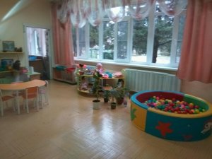 Центр развития ребенка-детский сад №233                             Россия ,                                                                            Краснодар
                            ,                        