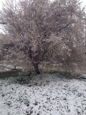 Новатор                             Россия ,                                                                            Краснодар
                            ,                        