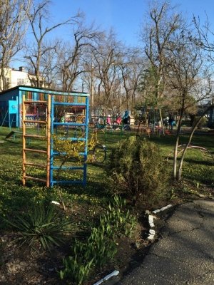 Детский сад №99 комбинированного вида                             Россия ,                                                                            Краснодар
                            ,                        