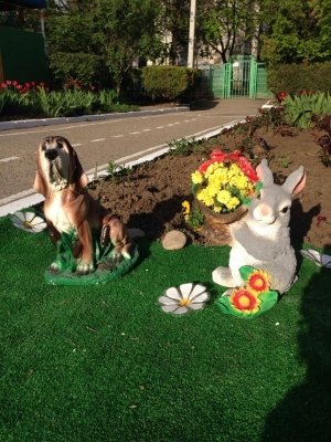 Центр развития ребенка-детский сад №231                             Россия ,                                                                            Краснодар
                            ,                        