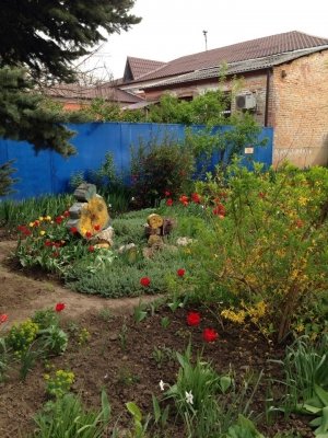 Детский сад №74. &laquo;Звёздочка&raquo;                             Россия ,                                                                            Краснодар
                            ,                        