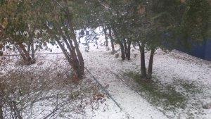 Детский сад №142                             Россия ,                                                                            Красноярск
                            ,                        