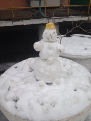 Детский сад №222 комбинированного вида                             Россия ,                                                                            Красноярск
                            ,                        