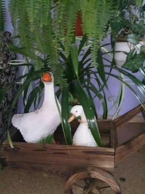 Детский сад №148                             Россия ,                                                                            Красноярск
                            ,                        