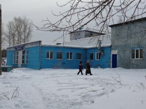 Дельфин                             Россия ,                                                                            Дивногорск
                            ,                        