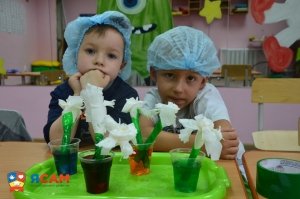 ЯСАМ                             Россия ,                                                                            Курган
                            ,                        