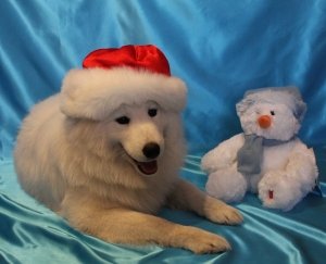 Энигма                             Россия ,                                                                            Курган
                            ,                        