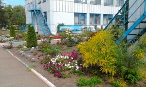 Детский сад №16 комбинированного вида                             Россия ,                                                                            Курск
                            ,                        