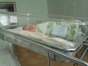 МЛПУЗ Роддом                             Россия ,                                                                            Орел
                            ,                        