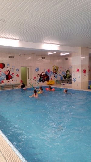 Дельфин                             Россия ,                                                                            Магнитогорск
                            ,                        