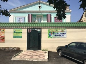 Райские птички                             Россия ,                                                                            Махачкала
                            ,                        