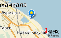 Детский сад №81                             Россия ,                                                                            Махачкала
                            ,                        