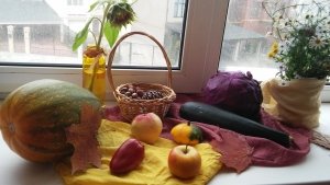 Светлица                             Россия ,                                                                            Москва
                            ,                        