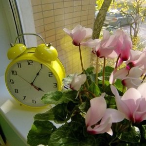 Школа талантливых детей                             Россия ,                                                                            Москва
                            ,                        